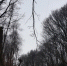 photo - ИА Чеченинфо