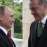 Путин и Эрдоган позитивно оценили итоги переговоров о транзите газа через Турцию - ИА Чеченинфо