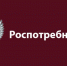 Роспотребнадзор призвал граждан соблюдать правила безопасности при покупке пиротехники - ИА Грозный-информ