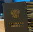 ПФР подготовился к переходу на электронные трудовые книжки - ИА Чечня Сегодня
