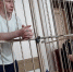 КРАСНОДАР. Дмитрий Бакшеев, которого называли «краснодарским каннибалом», внезапно умер в тюрьме - ИА Чеченинфо