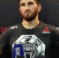 ДАГЕСТАН. Магомед Анкалаев выступит 1 марта на турнире UFC в США - ИА Чеченинфо