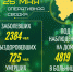 ВОЛГОГРАД. Оперативная сводка на 26 мая 2020 года - ИА Чеченинфо