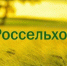 ЧЕЧНЯ. РСХБ будет давать кэшбэк фермерскими продуктами - ИА Чеченинфо
