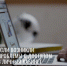 Что делать, если возникли проблемы с Личным кабинетом ПФР или порталом госуслуг? - Пенсионный фонд