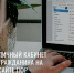 Что делать, если возникли проблемы с личным кабинетом ПФР или Порталом Госуслуг? - Пенсионный фонд