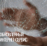Новый и удобный способ узнать остаток материнского капитала - Пенсионный фонд