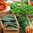В Чеченской Республике отметили рост цен на плодоовощную продукцию - ИА Чечня Сегодня