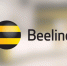 Билайн сделал выгоднее тариф для семьи «Близкие люди» - ИА Чечня Сегодня