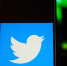 Роскомнадзор заблокирует Twitter в случае невыполнения закона - ИА Чечня Сегодня
