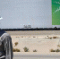 Хакеры вымогают у саудовской нефтяной компании Saudi Aramco $50 млн - ИА Грозный-информ