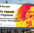 Оператор билайн обновил бренд и запустил новый тариф-конструктор - ИА Грозный-информ