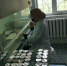 Еще не Склодовская-Кюри, но есть все шансы! - ЧГУ