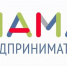 В Чеченской Республике начнётся реализация программы «Мама-предприниматель» - ИА Чечня Сегодня