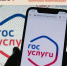 На «Госуслугах» заработали новые сервисы по частичной мобилизации - Министерство сельского хозяйства