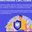 Как укрепить главного защитника нашего организма - иммунитет? - ИА Чечня Сегодня