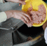 Инновационную технологию обогащения мясных продуктов макро- и микроэлементами разработали ученые СКФУ - ИА Грозный-информ