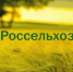 РСХБ поддерживает проект «Сохрани родники» в Чеченской Республике - ИА Грозный-информ