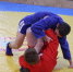 В Шелковском районе прошел чемпионат по самбо, приуроченный ко Дню Самбо - ИА Грозный-информ