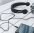 В Госдуме предложили запретить иностранную музыку на российских платформах - ИА Грозный-информ