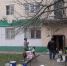 Фото: стоп-кадр видео с сайта администрации Грозного - НИА-Кавказ - Чечня