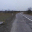 Фото с ТГ-канала Правительства республики - НИА-Кавказ - Чечня