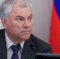 Володин поручил подготовить нормы по защите детей от нападений бездомных собак - ИА Грозный-информ