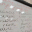 Студенты кафедры чеченской филологии написали эссе в рамках конкурса «Знаток чеченского языка» - ЧГПУ