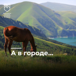 А В ГОРОДЕ…