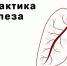 Туберкулёз. Как защититься? - Роспотребнадзор