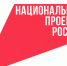Живой патриотизм: как молодежь осваивает любовь к Родине через практические дела - ИА Грозный-информ