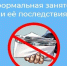 От самозанятых до работодателей: в Чечне наращивают легализацию экономики - ИА Грозный-информ