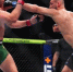 ЧЕЧНЯ. Макгрегор поздравил Чимаева: «Первый чемпион UFC из Чечни» - ИА Чеченинфо