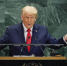Трамп обвинил ООН в бездействии при урегулировании международных кризисов - ИА Грозный-информ