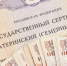 В минтруде предложили разрешить перевод маткапитала на банковский счет ребенка - ИА Грозный-информ