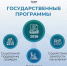Социальная поддержка, занятость и доступная среда: глава Минтруда Антон Котяков рассказал о планах на предстоящую трехлетку - Министерство труда, занятости и соцразвития