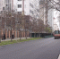 фото: стоп-кадр видео с ТГ-канала администрации Грозного - НИА-Кавказ - Чечня