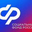 С начала 2025 года более 12 900 жителей Чечни выбрали электронный способ ведения трудовой книжки - ИА Грозный-информ