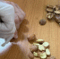 Чеченской лесосеменной станцией подведены  итоги оценки семян лесных растений в 2025 году - Рослесозащита Чеченской Республики