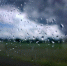 В ЧР объявили штормовое предупреждение - ИА Грозный-информ