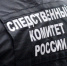Следственным отделом по Ахматовскому району возбуждено уголовное дело по факту применения насилия в отношении сотрудника полиции - Следственный комитет