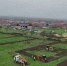 Фото: Соцсети главы Чечни Рамзана Кадырова - НИА-Кавказ - Чечня