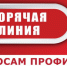 «Горячая линия» по профилактике клещевого энцефалита - Роспотребнадзор
